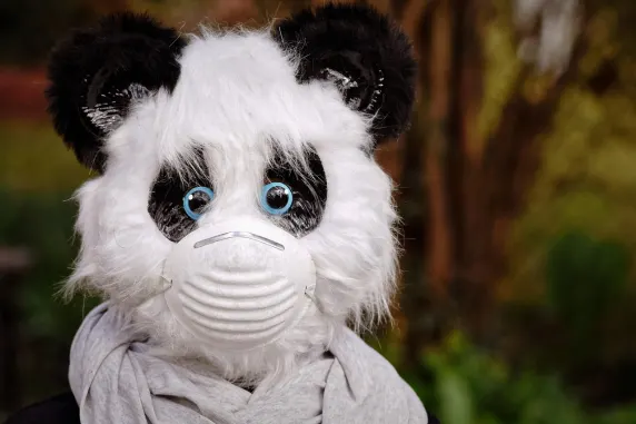 BigAzart Casino Supporto